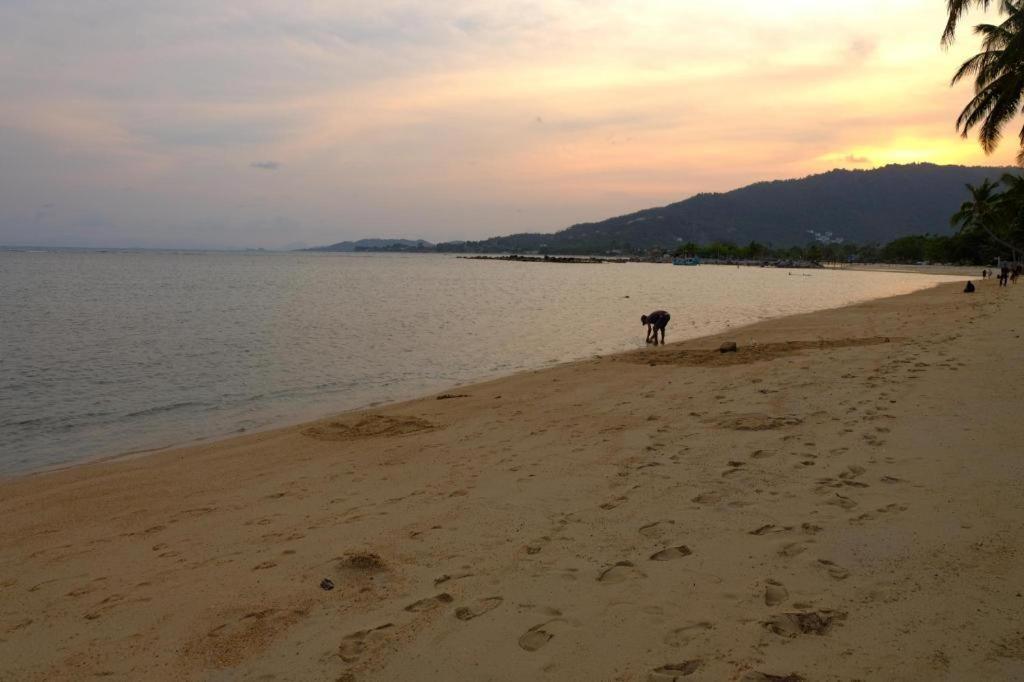 Rose Garden Samui Bungalows Lamai Beach  Zewnętrze zdjęcie